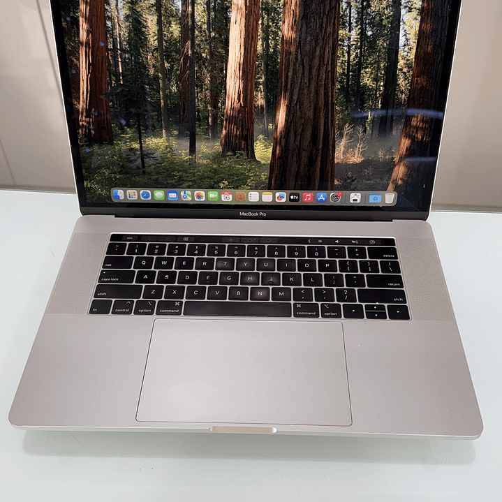 MacBook Pro 15'' (2019) i7 32GB RAM 500GB SSD 1