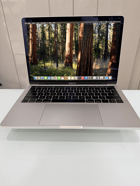 MacBook Pro 13'' A2159 (2019) i5 16GB RAM 256GB SSD