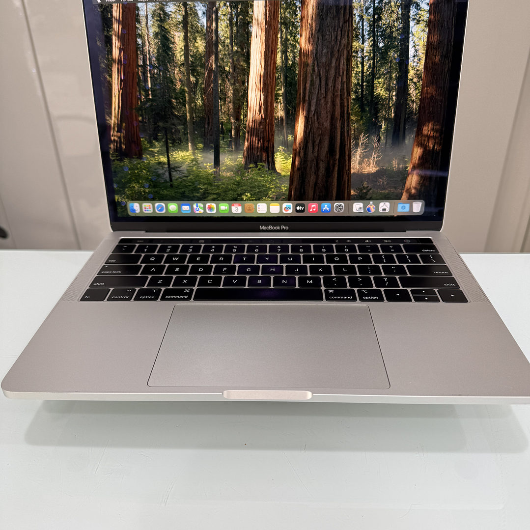 MacBook Pro 13'' A2159 (2019) i5 16GB RAM 256GB SSD 1
