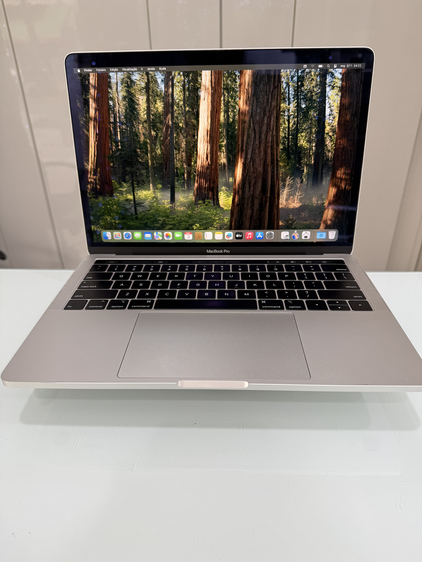 MacBook Pro 13'' A2159 (2019) i5 16GB RAM 256GB SSD 1