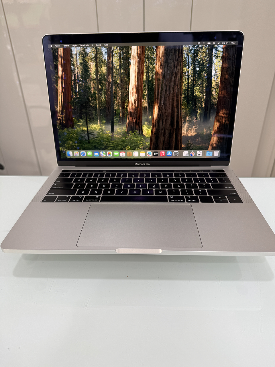 MacBook Pro 13'' A2159 (2019) i5 16GB RAM 256GB SSD 1