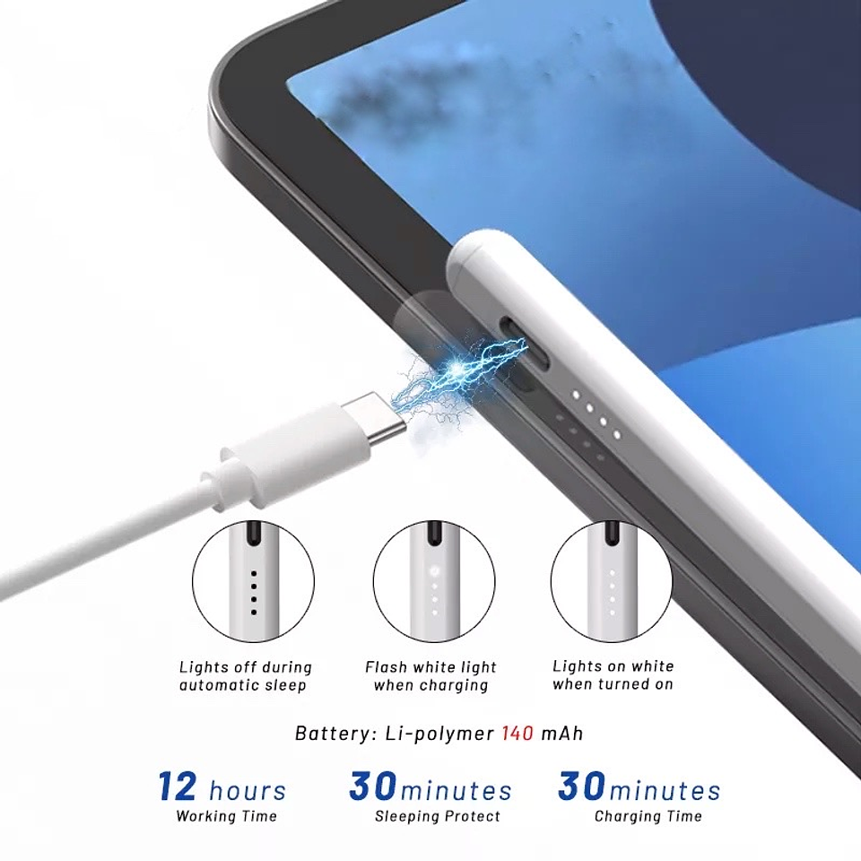 Lápiz Con Rechazo de Palma (Solo iPad) 2