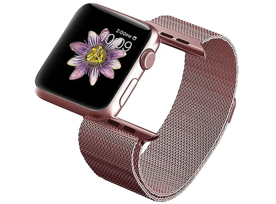 Correas Milanesa Loop Apple Watch 4