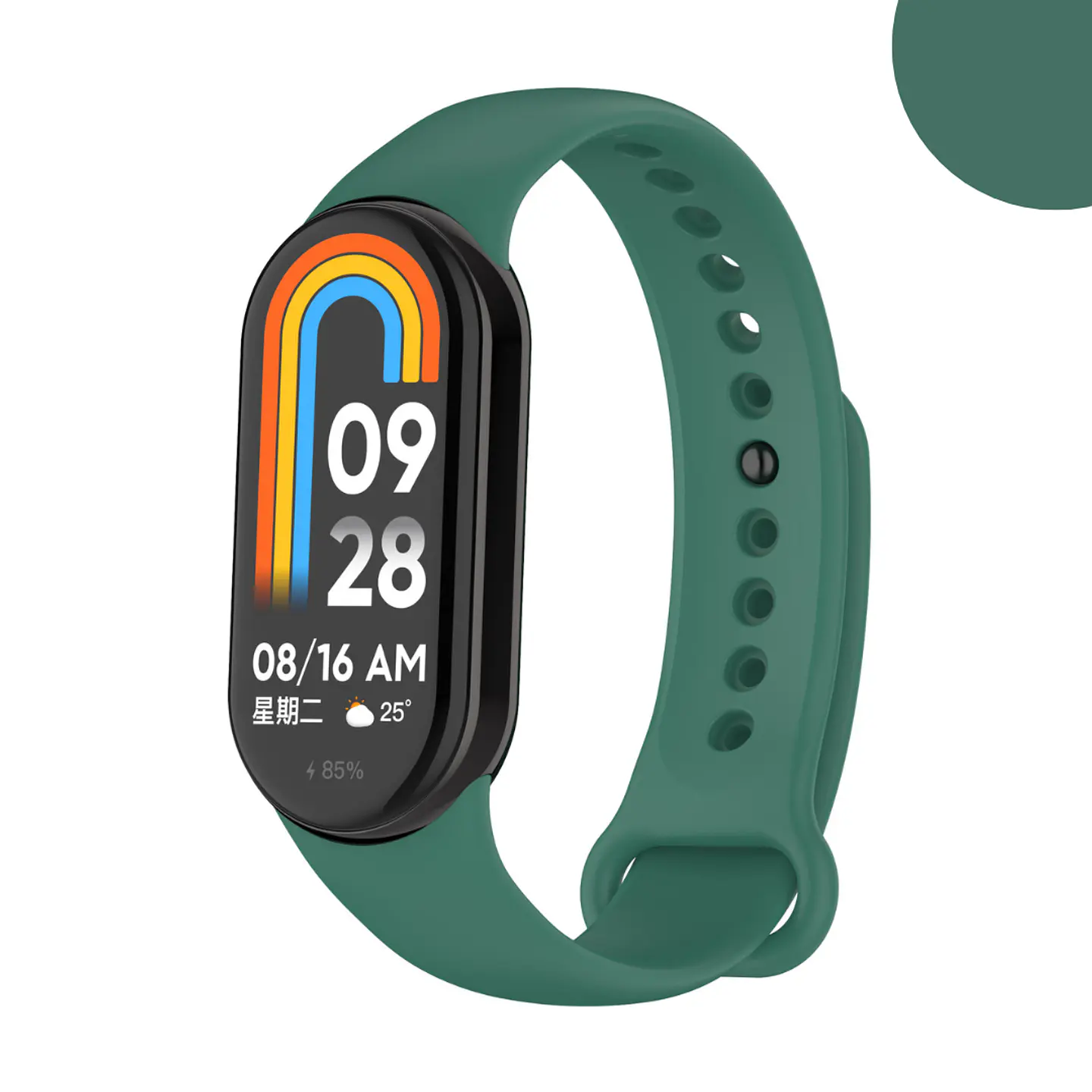 Correas de Silicona MiBand 8/9/10 15