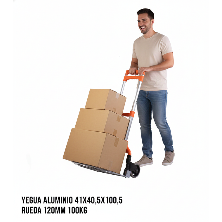 Carro Plegable 100KG RUEDA 120MM - Carretilla de carga Aluminio 3