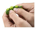 Fidget Juguete Sensorial Antiestrés Alverja-guisante - PACK 3 unidades 
