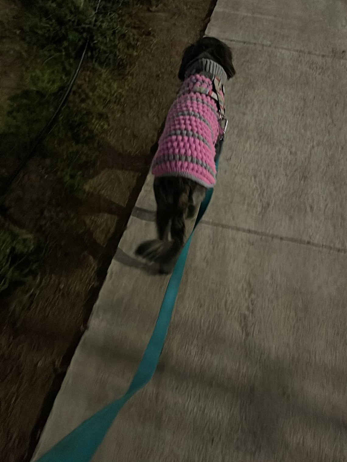 Modelo Burbuja Rosa 3