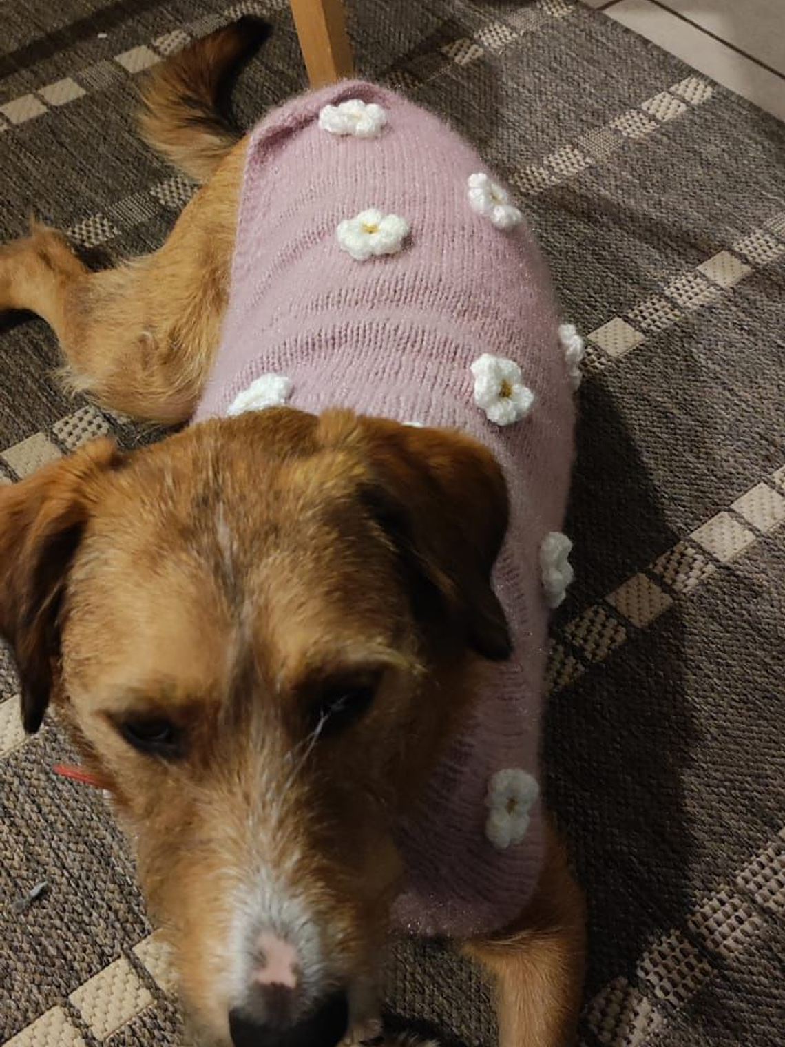 Modelo flores rosa 1