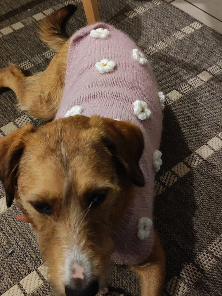 Modelo flores rosa 1