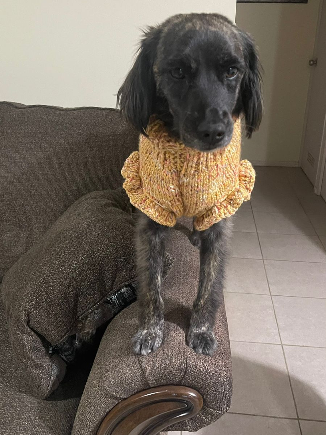 Modelo vuelos mostaza 1