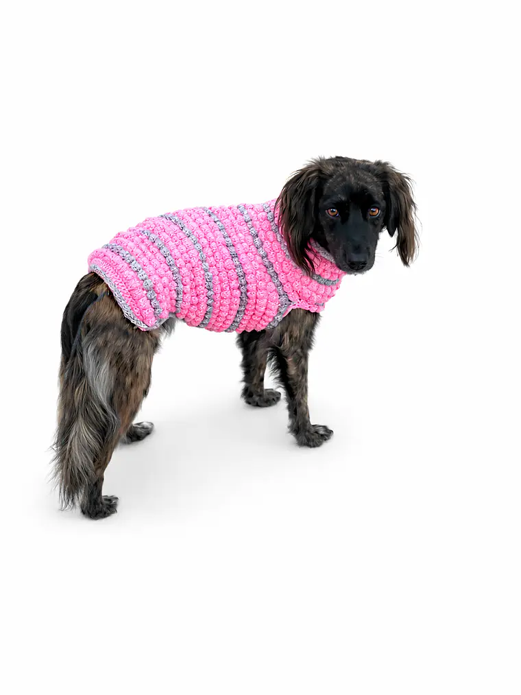 Modelo Burbuja Rosa 1