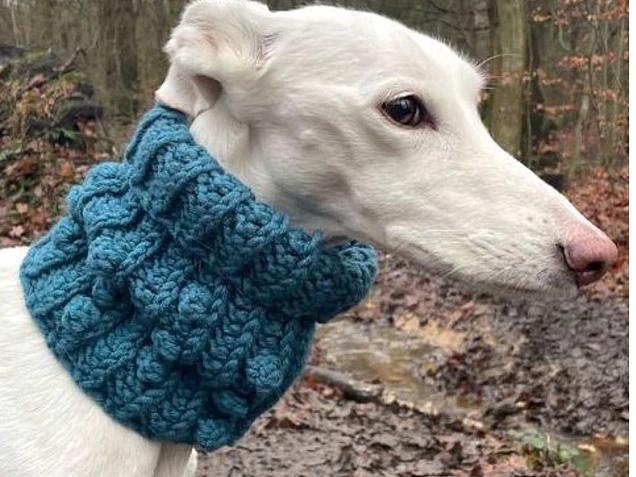 Cuellos para mascotas y humanos