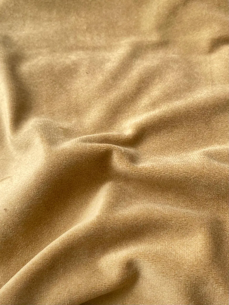 Velvet Mostaza Claro 1