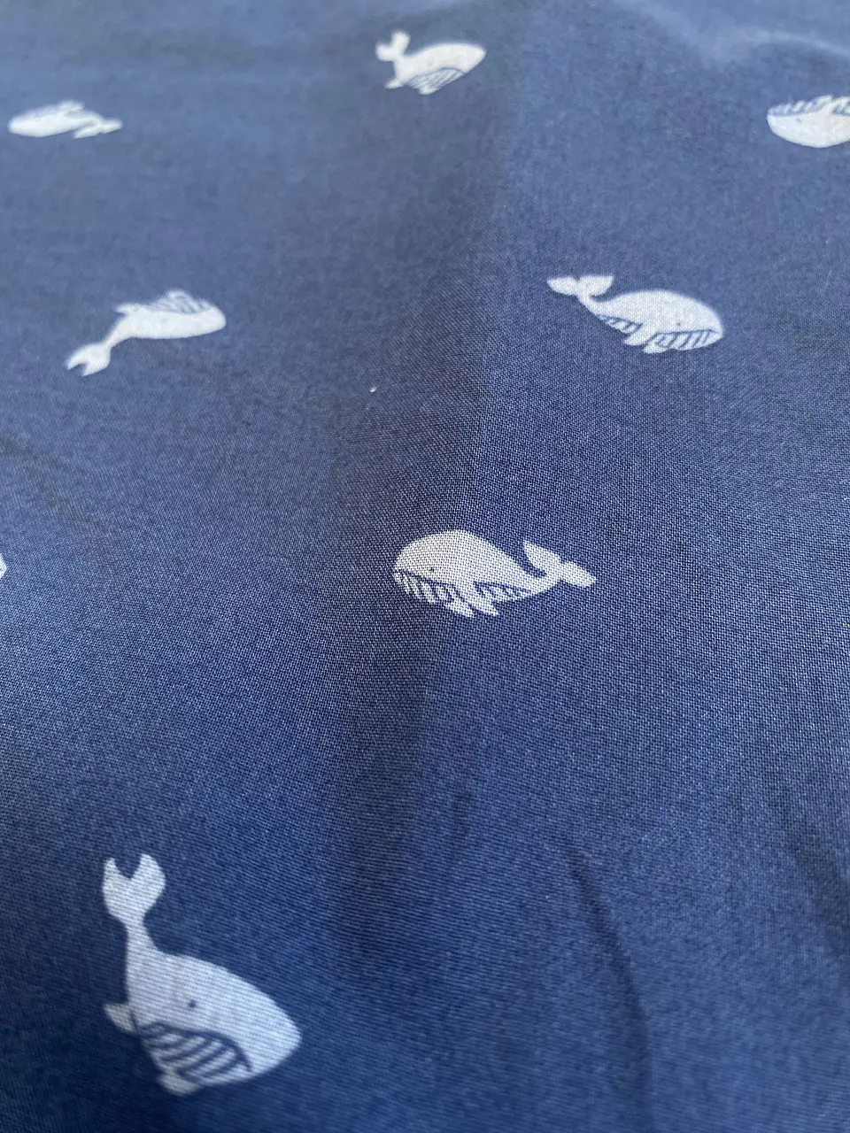 Popelina Oceanic Blue 1