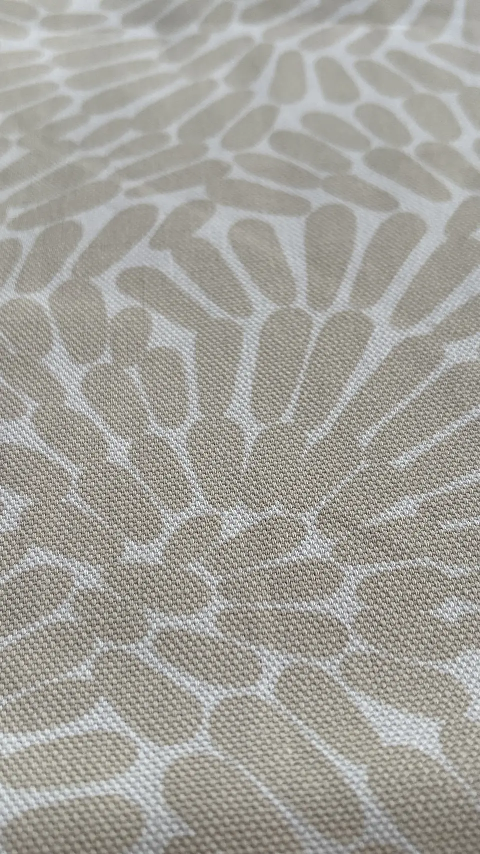 Canvas Natural Coral 3