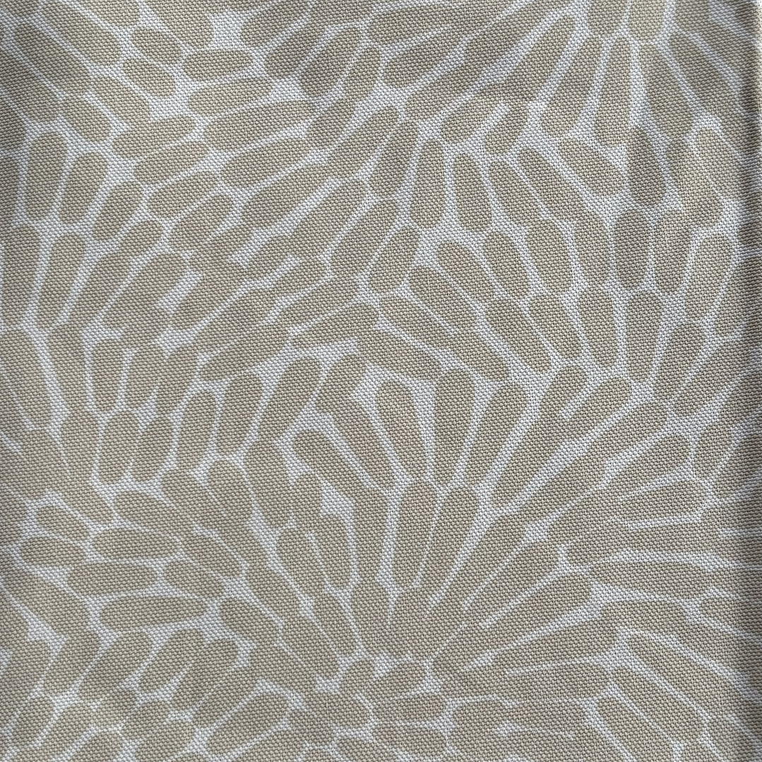 Canvas Natural Coral 5