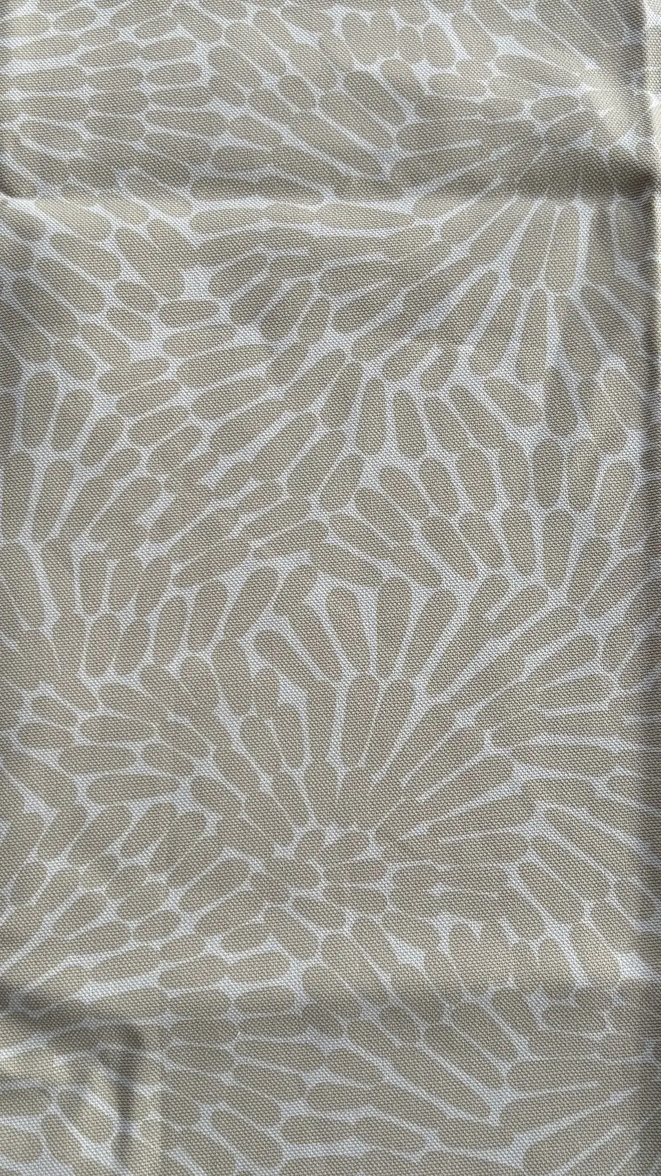Canvas Natural Coral 5