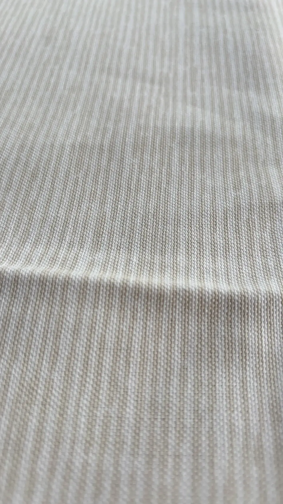 Canvas Rayita Naturales  4