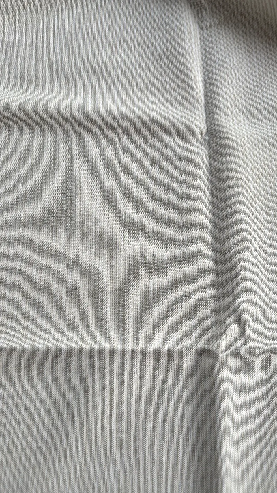 Canvas Rayita Naturales  5