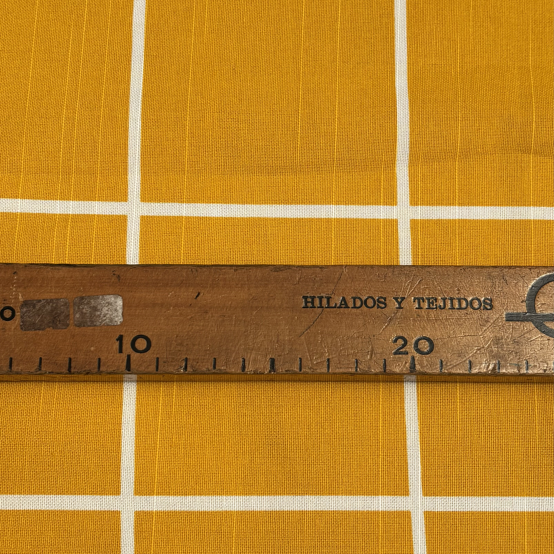 Canvas Mostaza Mediterráneo  4