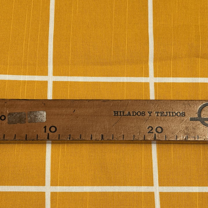 Canvas Mostaza Mediterráneo  4