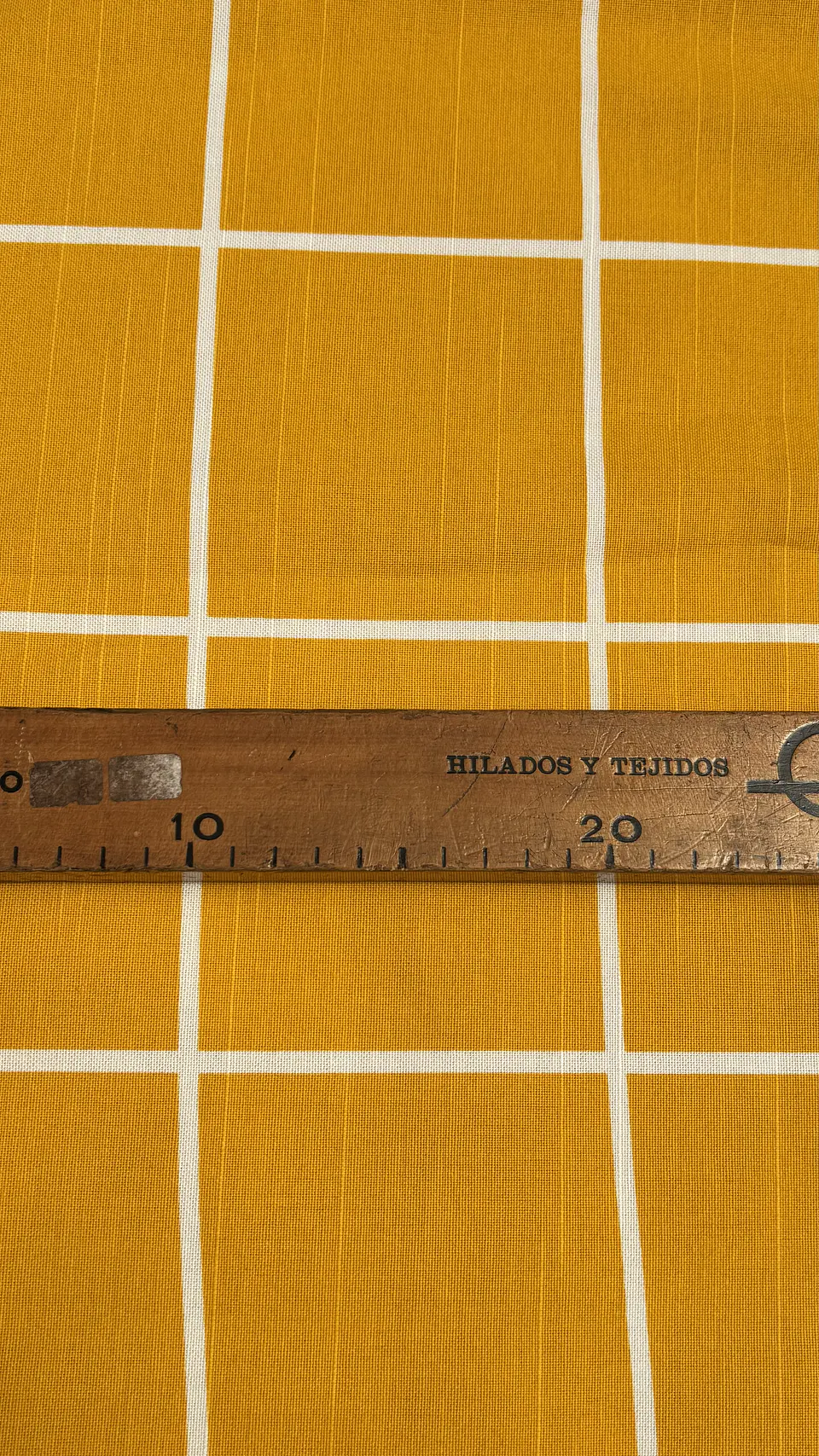 Canvas Mostaza Mediterráneo  4