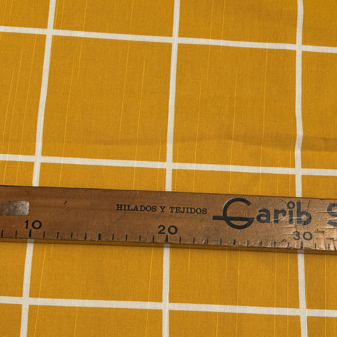 Canvas Mostaza Mediterráneo  5