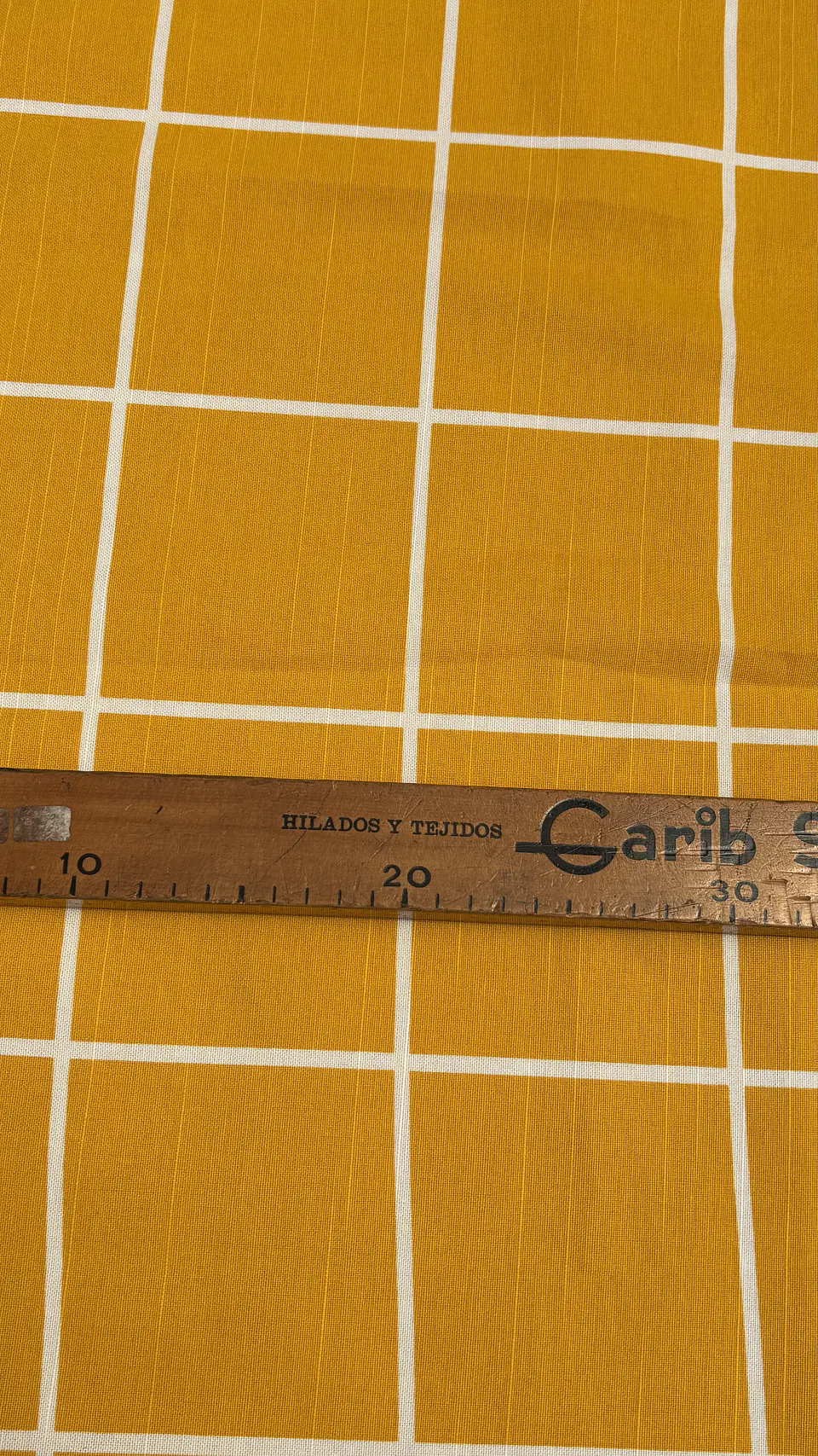 Canvas Mostaza Mediterráneo  5