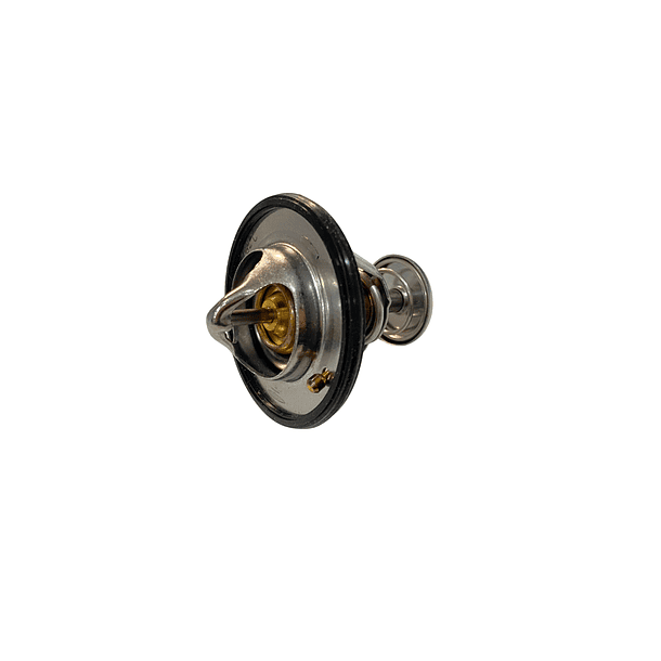 Termostato L200 2025  1