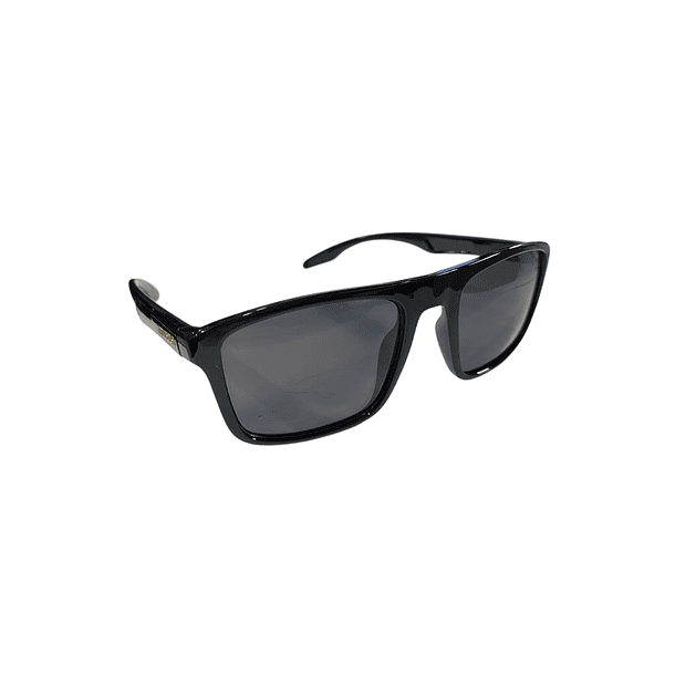 Lentes Mitsubishi Detalles Dorados 3