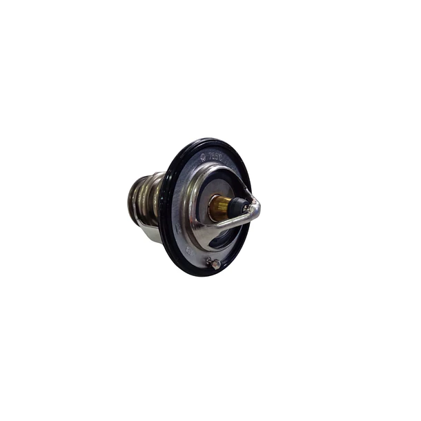 Termostato Montero G2 2009-2015 2