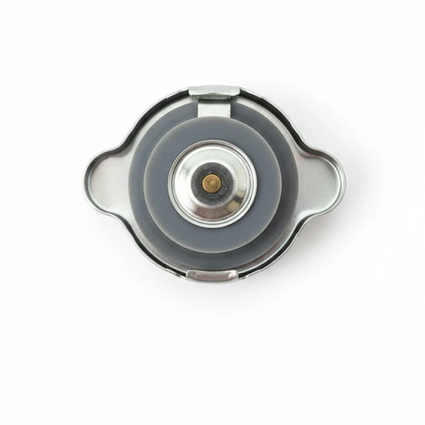 Tapa Radiador Mitsubishi Montero Sport 2016 -2024 Original 3