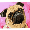 Kit Diamond Painting Pintura De Diamante - Pug 48