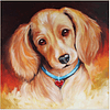 Kit Diamond Painting Pintura De Diamante - Perrito 56