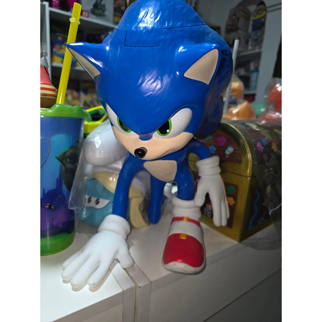 PALOMERAS SONIC  1