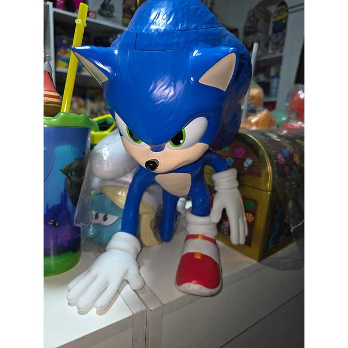 PALOMERAS SONIC  1
