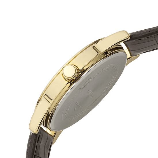 Reloj Casio Análogo Hombre MTP-V001GL-9B 2