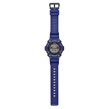 Ws-1300h-2av 2