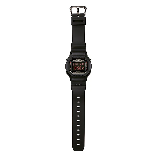 DW-5600MS-1D 5