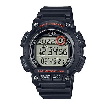 WS-2100H-1A 1