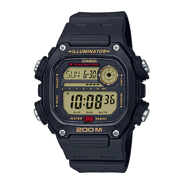 Reloj Casio DW-291H-9A 1