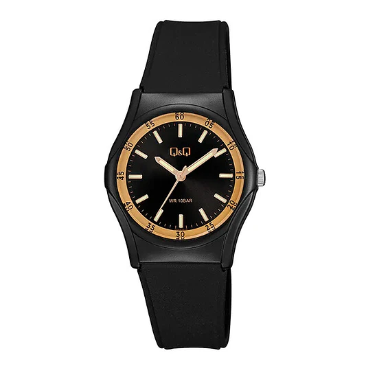 Reloj Q&Q VQ04J016Y 1