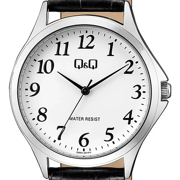 Reloj Q&Q Q93A-001PY 2