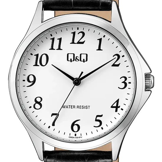 Reloj Q&Q Q93A-001PY 2