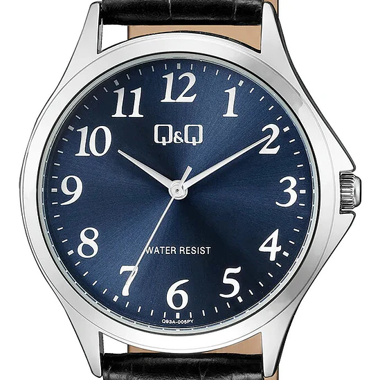 Reloj Q&Q Q93A-005PY 2