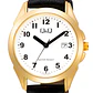 Reloj Q&Q C29A-004PY - Miniatura 2