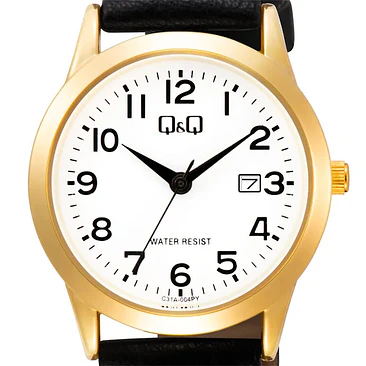 Reloj Q&Q C31A-004PY 2
