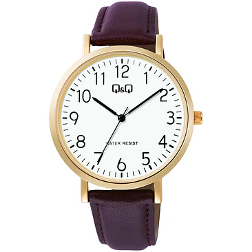 Reloj Q&Q C34A-008PY 1