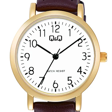 Reloj Q&Q C35A-010PY 2