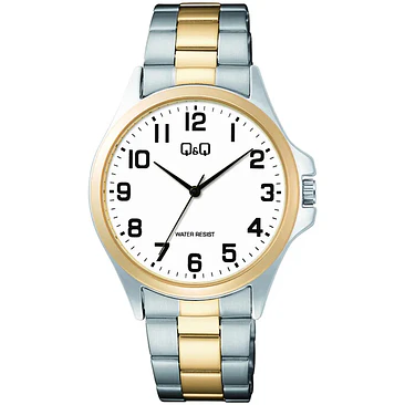 Reloj Q&Q C36A-017PY 1